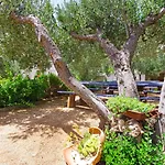 Apartman Matanovi Dvori Md Makarska