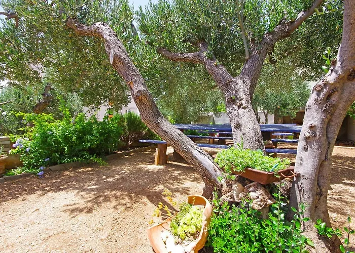 Apartman Matanovi Dvori Md Makarska